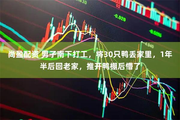 尚盈配资 男子南下打工，将30只鸭丢家里，1年半后回老家，推开鸭棚后懵了