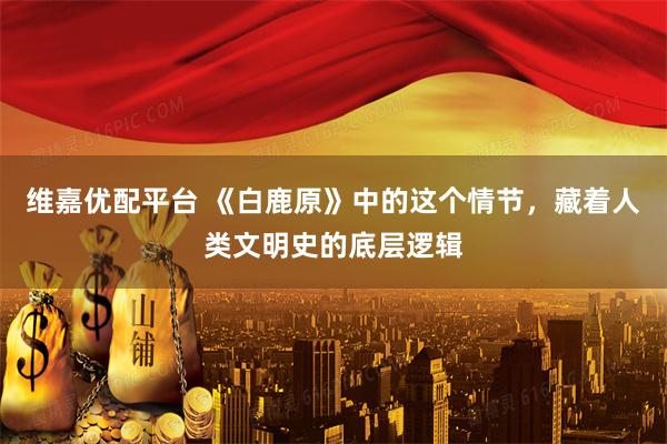 维嘉优配平台 《白鹿原》中的这个情节，藏着人类文明史的底层逻辑